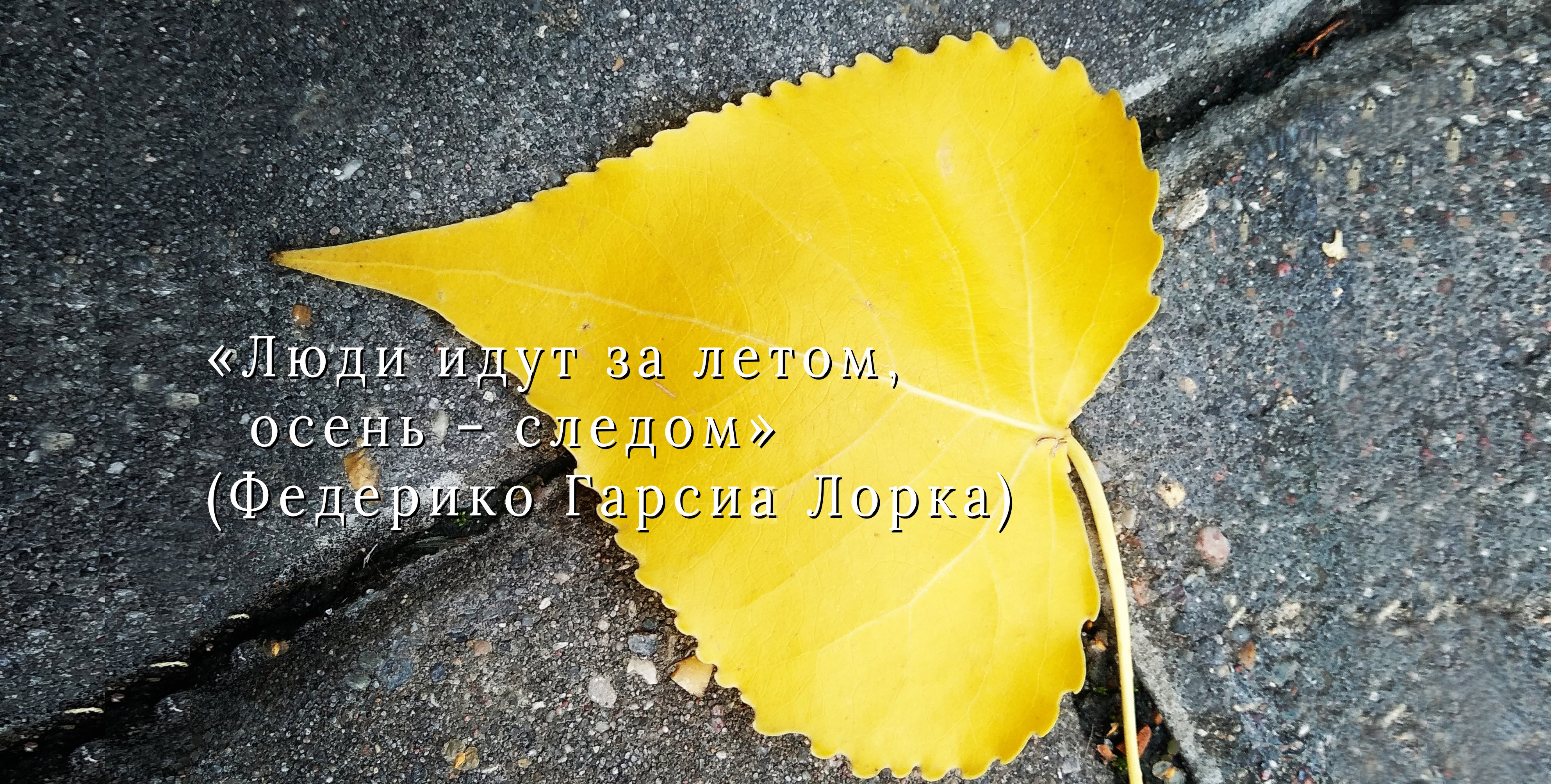 Выпуск 21. В сердце сангиновой осени